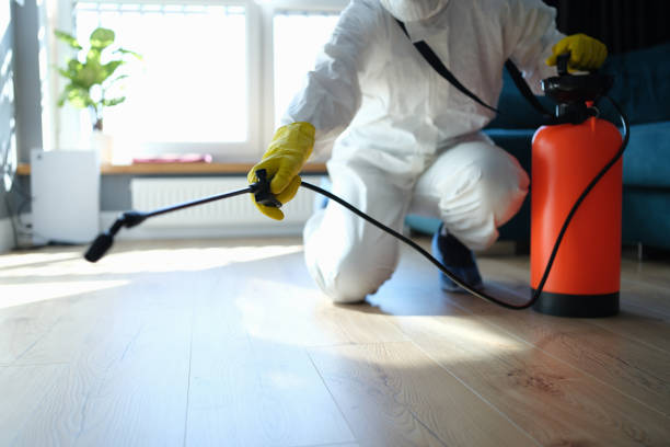 Professional Pest Control in Timonium, MD
